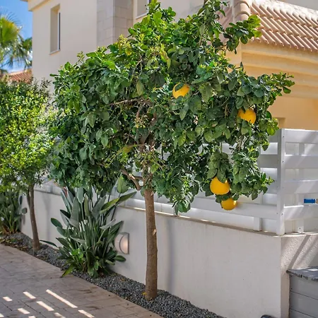 Villa Palm Eva Paralímni
